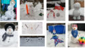 Snowman Challenge: Übersicht Schneefrauen und -männer